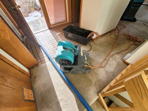 Best Water damage restoration near me  in Longview Heights, WA