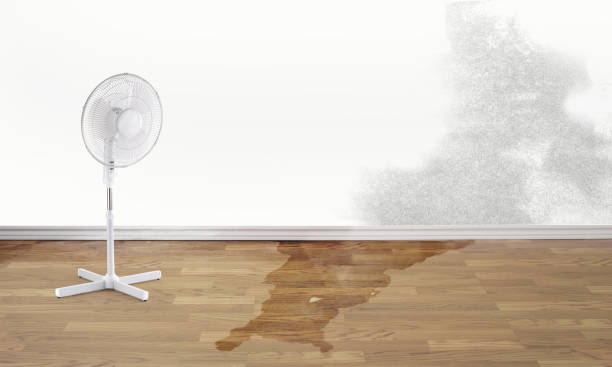 Best Flood damage cleanup  in Longview Heights, WA