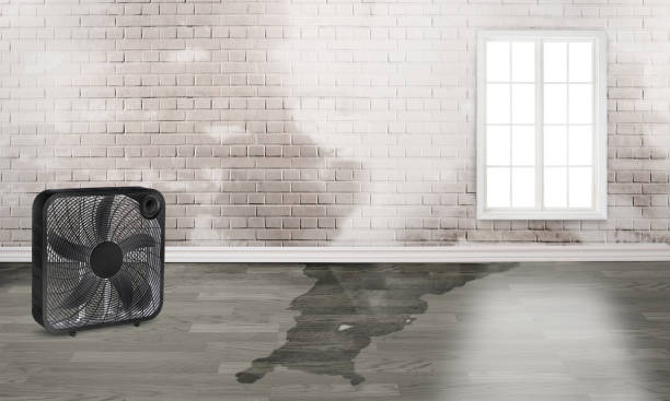 Professional Water damage restoration in WA