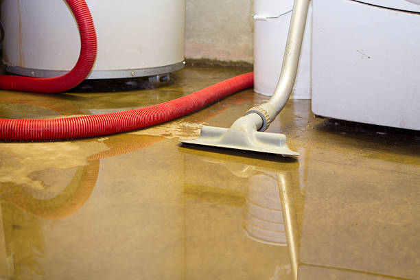 Best Fire Damage Restoration  in Longview Heights, WA