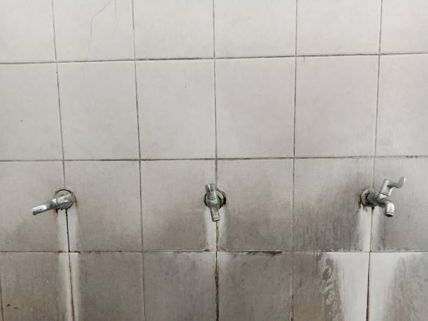 Best Emergency water damage restoration  in Longview Heights, WA