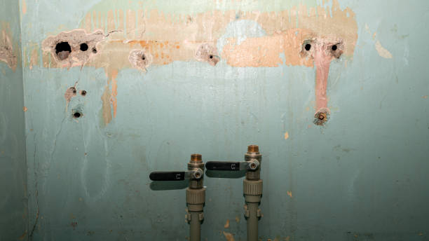 Best Commercial water damage restoration  in Longview Heights, WA