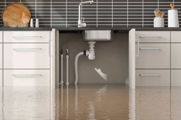 Best 24/7 water damage repair  in Longview Heights, WA