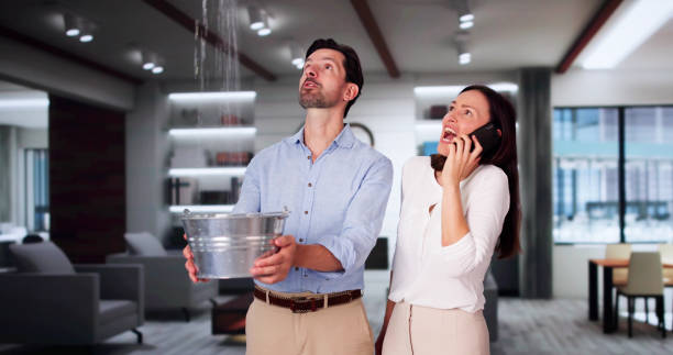 Best Basement water damage restoration  in Longview Heights, WA