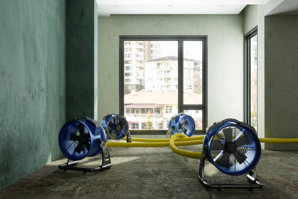 Best Residential water damage restoration  in Longview Heights, WA