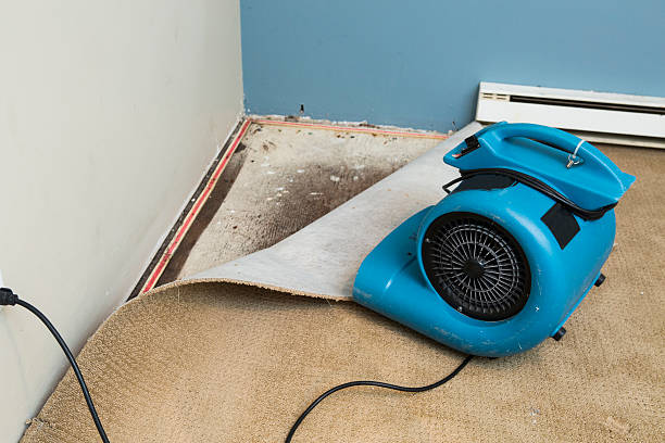 Best Water damage contractors near me  in Longview Heights, WA